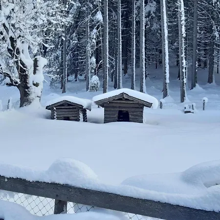 Haus Silvia 3* Flachau