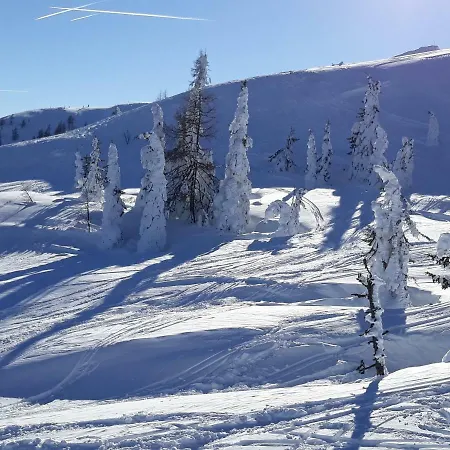 Haus Silvia Konukevi 3*