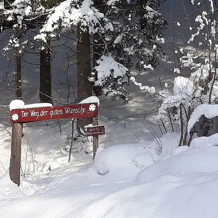 Haus Silvia 3* Flachau