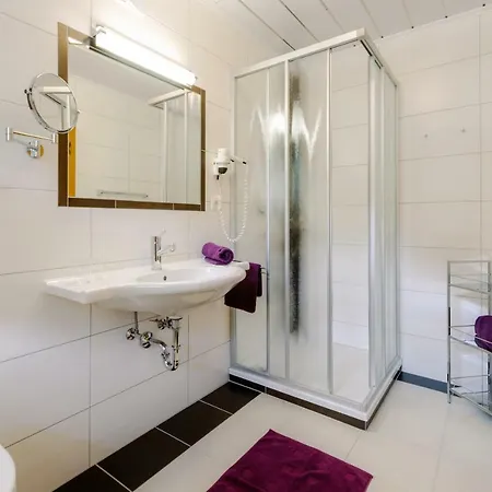 Haus Silvia Gæstehus Flachau