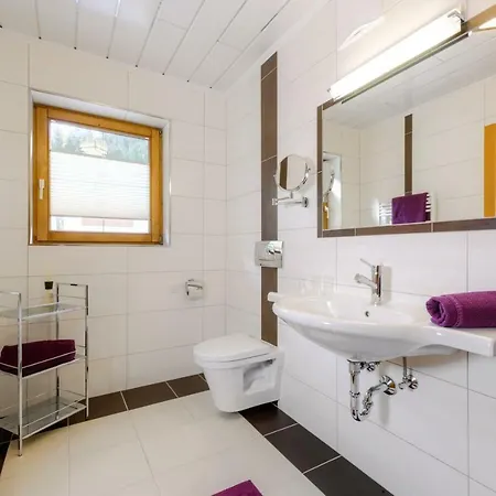 Haus Silvia Gæstehus Flachau