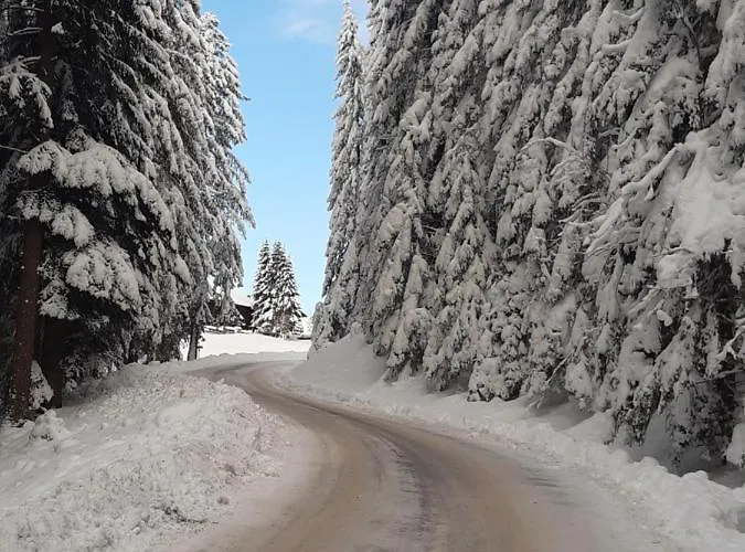 Konukevi Haus Silvia