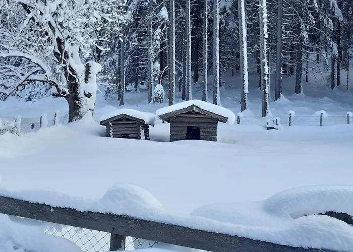 Haus Silvia 3* Flachau