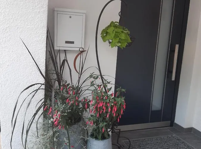 Haus Silvia Affittacamere Flachau