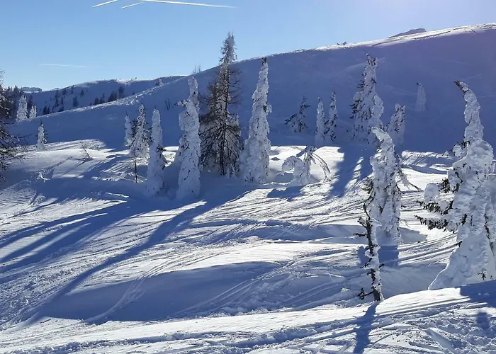 Haus Silvia Konukevi 3*