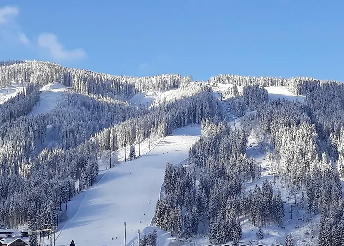 Konukevi Haus Silvia 3*