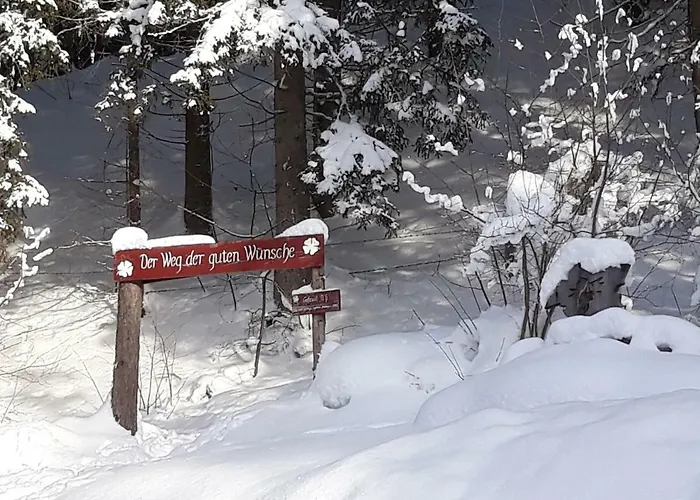 Haus Silvia 3* Flachau